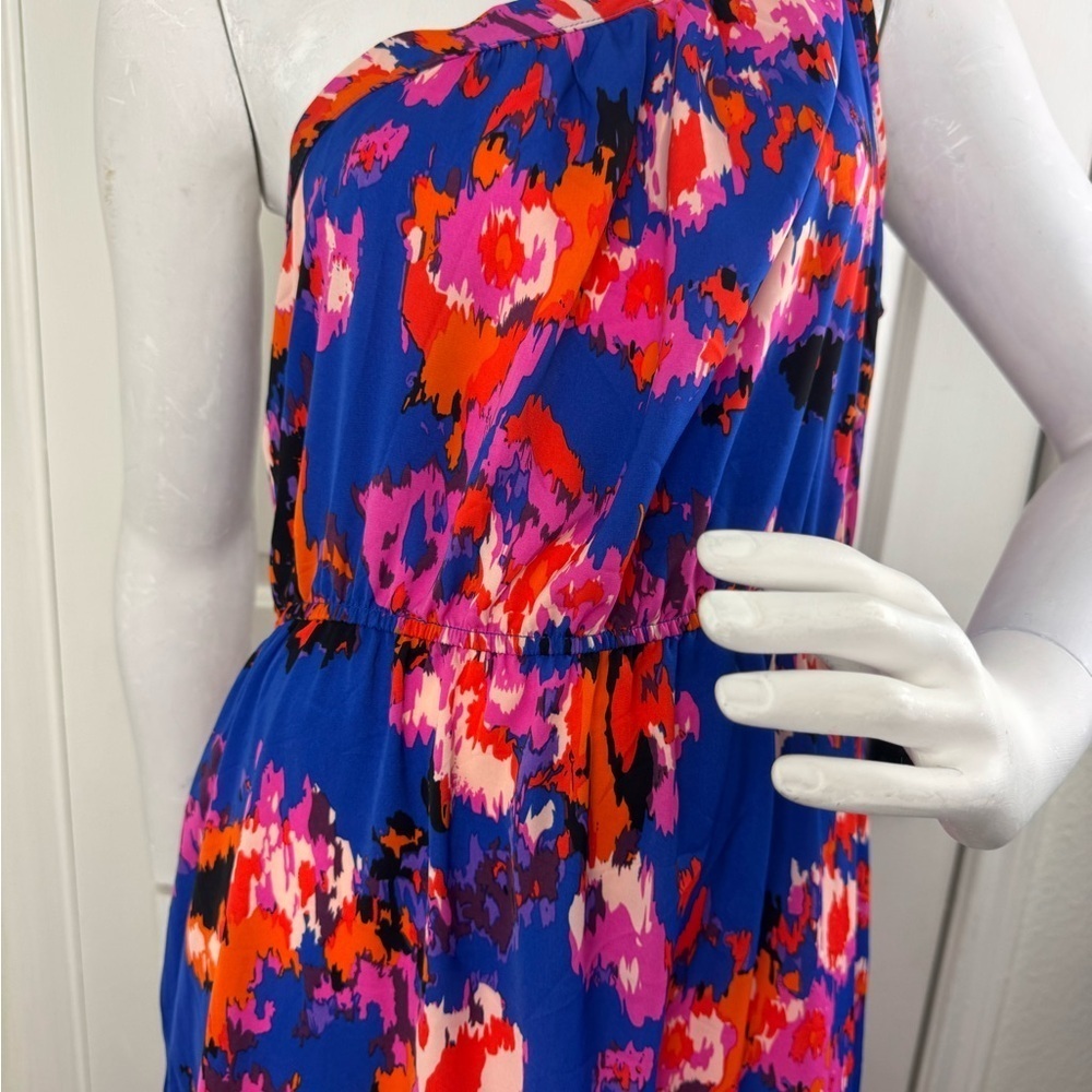 Pretty Garden Floral Maxi Dress in Blue and Red Size Large I#107 - Picture 9 of 12